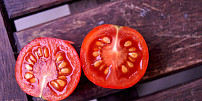 Jak si už teď uchovat semínka rajčat pro příští sklizeň? Tento postup zjistí skvělý výsledek