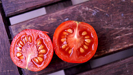 Jak si už teď uchovat semínka rajčat pro příští sklizeň? Tento postup zjistí skvělý výsledek