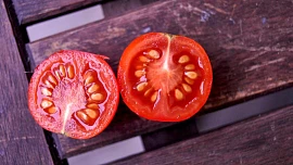 Jak si už teď uchovat semínka rajčat pro příští sklizeň? Tento postup zjistí skvělý výsledek