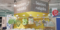Široká nabídka produktů pomůže zákazníkům Tesco prožít veselé Velikonoce