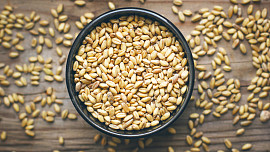 K druhé postní neděli patří pražmo: Připravte si zapomenutou a levnou pochoutku našich prababiček