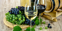 Ochutnejte mladé víno… Ten správný čas pro svatomartinské nastává 11. 11. v 11 hodin 11 minut