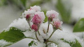 Dubnové pranostiky: Co říkají o počasí, úrodě, zásobách i Velikonocích a proč se k nim vracet
