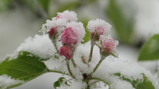 Dubnové pranostiky: Co říkají o počasí, úrodě, zásobách i Velikonocích a proč se k nim vracet