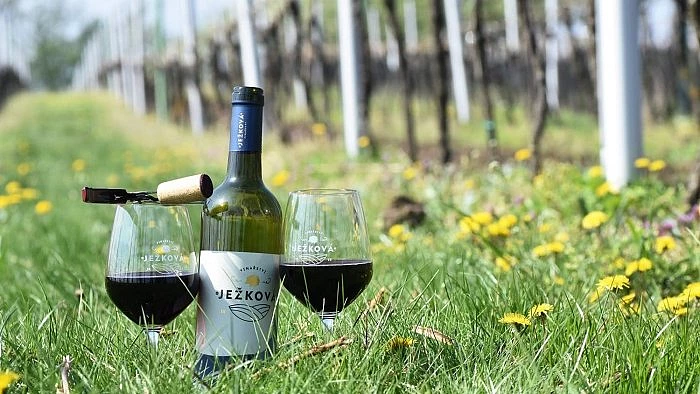 Připijte si letos excelentním vínem z Vinařství Ježková