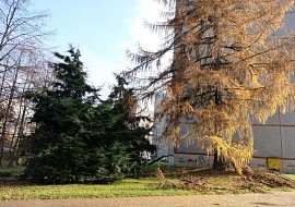 Procházka kolem jablonecké přehrady