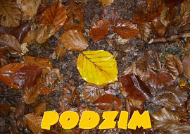 PODZIM