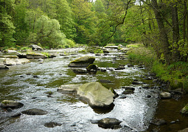 Turistika kolem Sázavy