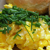 Pažitka Zdroj: Toprecepty