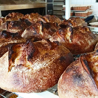 Špaldový chléb, Praktika, 100 Kč. Zdroj: Oficiální materiály pekárny.