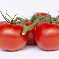 Běžná kulatá rajčata. Zdroj: Pixabay, stanbalik