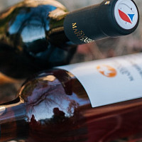 Letošní ročník mladých vín bude vydařený. Zdroj: Vinařský fond