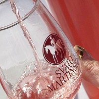 Svatomartinské víno se vyznačuje svěží chutí. Zdroj: Vinařský fond