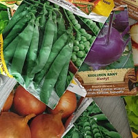 Pokud počasí nepřeje vyklíčení zeleniny venku, je možné si předpěstovat i typicky jarní druhy zeleniny - jako saláty, kedlubny, hrášky... Zdroj: Autorka
