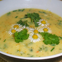 Jarní mrkvová polévka s bylinkami Zdroj: Toprecepty---ReNi--