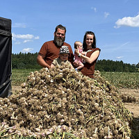 Rodina Pechových má z úrody česneku radost. Udělali pro ni maximum. Zdroj: Se souhlasem Gabriely Pechové
