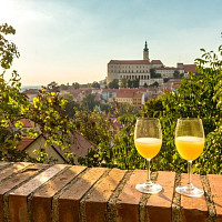 Burčák si nejvíc užijete někde na vinobraní. Zdroj: Vinazmoravyvinazcech.cz
