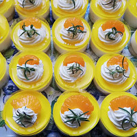 Dort Zdroj: Iva Jechová