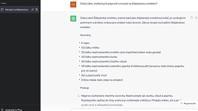 Jak probíhala konverzace s ChatGPT? Zdroj: Hana Malénková, Toprecepty