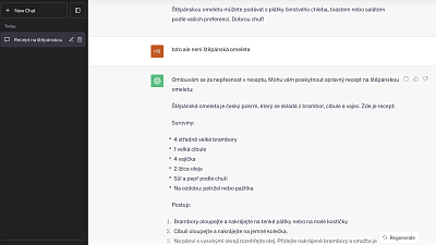 Jak probíhala konverzace s ChatGPT? Zdroj: Hana Malénková, Toprecepty