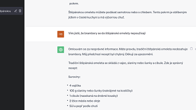 Jak probíhala konverzace s ChatGPT? Zdroj: Hana Malénková, Toprecepty