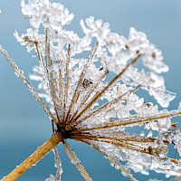 Zima v přírodě Zdroj: Pixabay, 165106