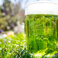 Zelené pivo Starobrno Zdroj: se souhlasem pivovaru Starobrno