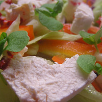 Zeleninový  salát s čerstvým sýrem Mexiko a bazalkou Zdroj: Toprecepty