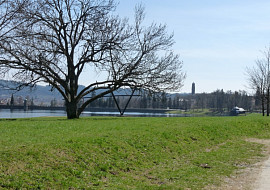 Moje včerejší první jarní procházka kolem jablonecké přehrady
