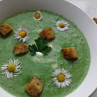 Kopřivy v polévkách Zdroj: Toprecepty