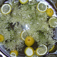Sirup Zdroj: Toprecepty