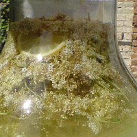 Sirup Zdroj: Toprecepty