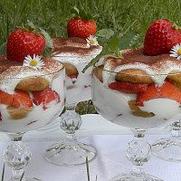 Tiramisu s jahodami Zdroj: Toprecepty