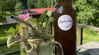 Kopřivový sirup prospívá i zdraví. Zdroj: se souhlasem Pavly Zajícové