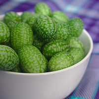 Cucamelon Zdroj: Pixabay, Corey Ryan Hanson