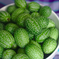 Cucamelon Zdroj: Pixabay, Corey Ryan Hanson
