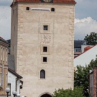 Muzeum rekordů a kuriozit Zdroj: Pixabay-peter89ba