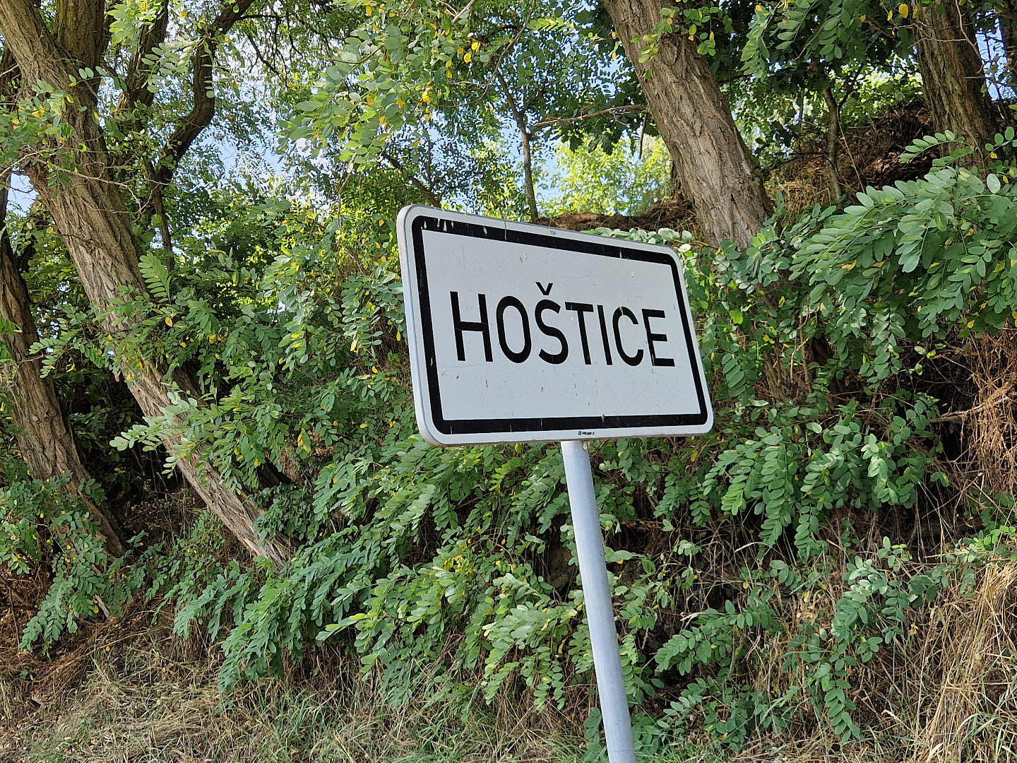 Slunce, zelí, hospody aneb Jak se vaří v hostinci U Miluny v Hošticích: Smažák za 229 Kč a hrníček za pět set překvapí