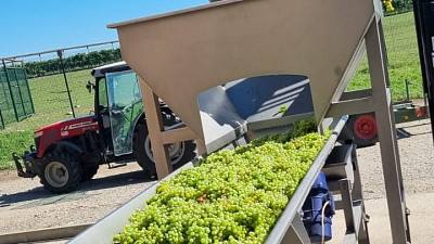 Sklizeň vína a sezona burčáku jsou tu. Zdroj: se souhlasem Vinné sklepy Valtice