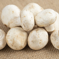 Houby Zdroj: Freepik, Ázerbájdžán_stockers