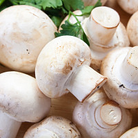 Houby Zdroj: Freepik, bearfotos