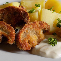 Smažené řízky Zdroj: Toprecepty