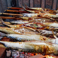 Jak využít makrelu v kuchyni Zdroj: Toprecepty