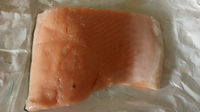 Losos Zdroj: Martina Pilzová