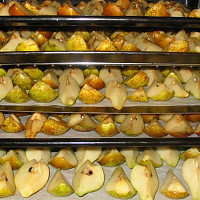 Ovoce Zdroj: Toprecepty