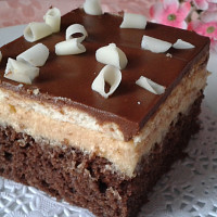 Moučníky s čokoládovou polevou Zdroj: Toprecepty