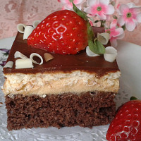 Moučníky s čokoládovou polevou Zdroj: Toprecepty