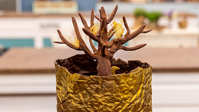 Čokoládový dort s bílou a hořkou čokoládou od Anežky Zdroj: se souhlasem České televize, Marie Anna Baráková