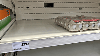 Ceny vajec se budou před Velikonoci zvyšovat. Zdroj: Toprecepty, Vilém Besser