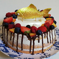 Dort Zdroj: Iva Jechová